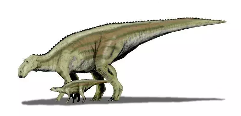 17 rikajućih činjenica o Maiasauri koje će se svidjeti djeci