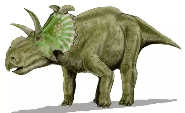 15 Albertaceratops faktów, których nigdy nie zapomnisz
