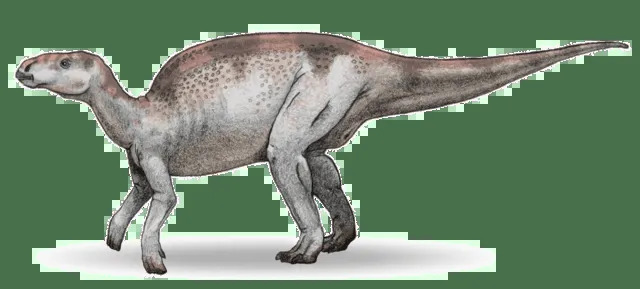 Fakta Menyenangkan Probactrosaurus Untuk Anak-Anak