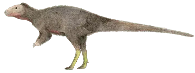 Xiaosaurus je bil majhen rod dinozavrov s kljunastimi usti.