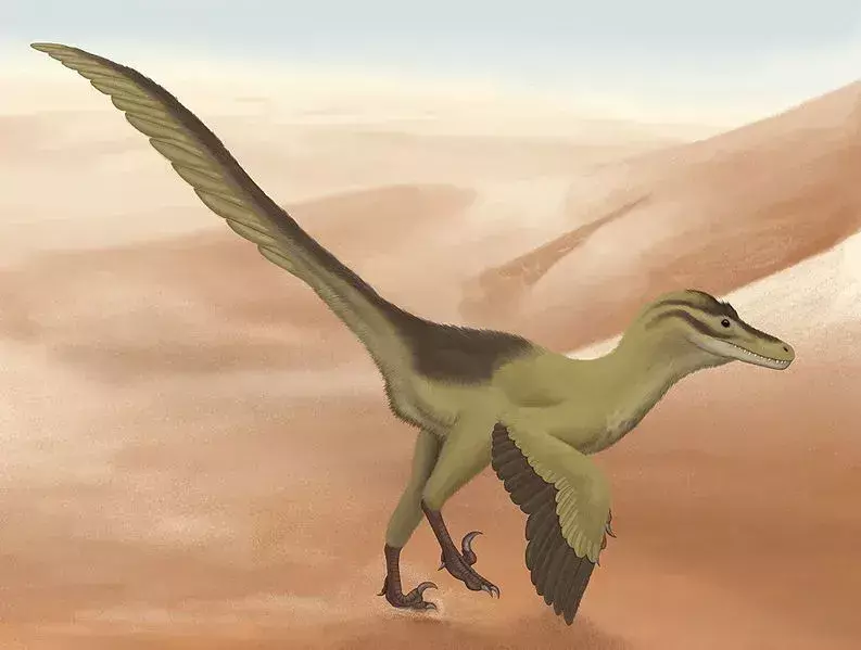 Çocukların Seveceği Linheraptor Hakkında 19 Kükreyen Bazı Gerçekler