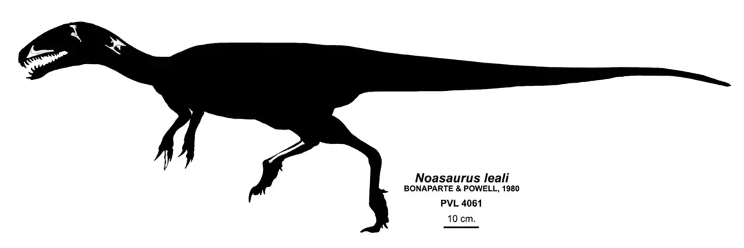17 حقائق فنغ تاستيك حول Noasaurus للأطفال