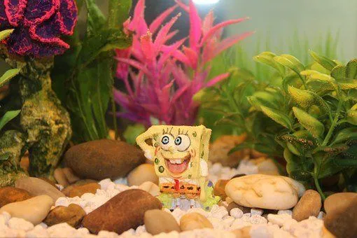 130 beste SpongeBob-sitater: Er du klar?