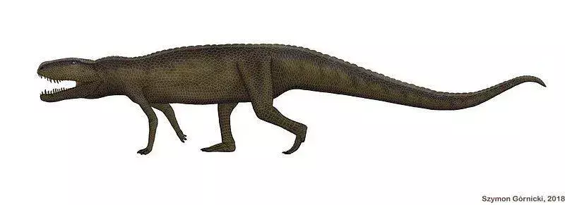 Teratosaurusen hadde sterke kjever til å knaske på alt som ville komme dens vei.
