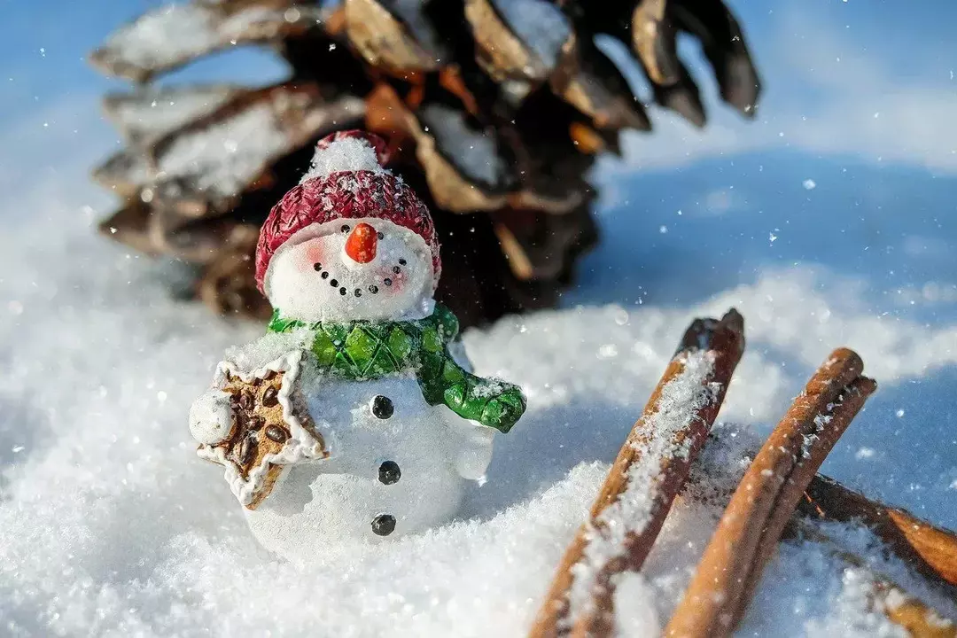 Morsomme fakta om snømenn for å få deg begeistret for vinteren!