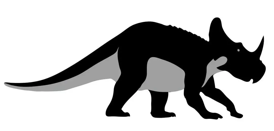 Ці динозаври мали величезні розміри.