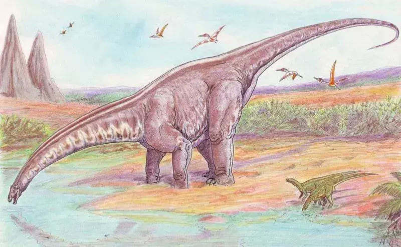 이것은 Apatosaurus 공룡이 마시는 물의 스케치입니다.