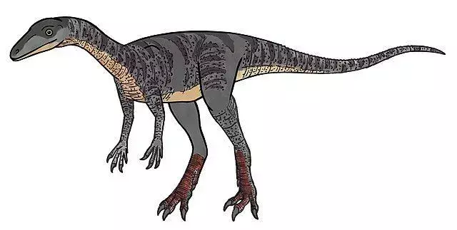 15 Veterupristisaurus-faktaa, joita et koskaan unohda
