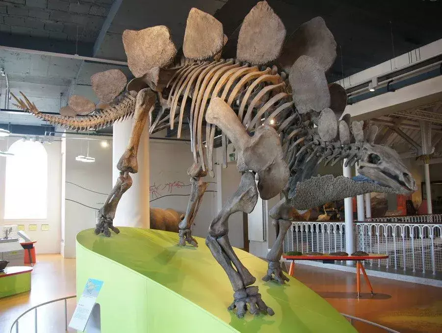 아이들이 좋아할 공룡 진드기 티레오포라에 관한 15가지 사실