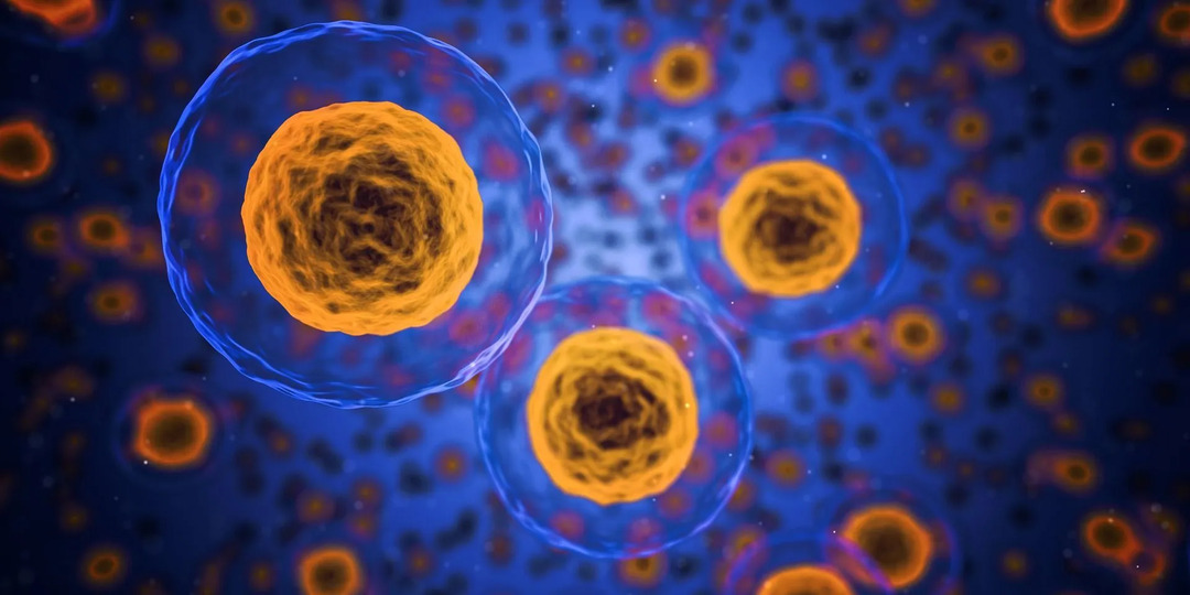 Kodėl ląstelėms reikia deguonies ląstelių kvėpavimo, paaiškinta