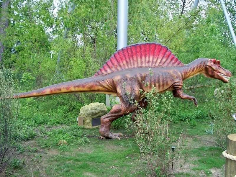 28 meilleurs faits sur le Spinosaurus pour les enfants