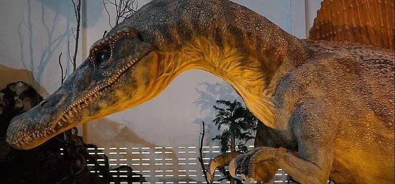 21 hechos del dino-ácaro Siamosaurus que a los niños les encantarán
