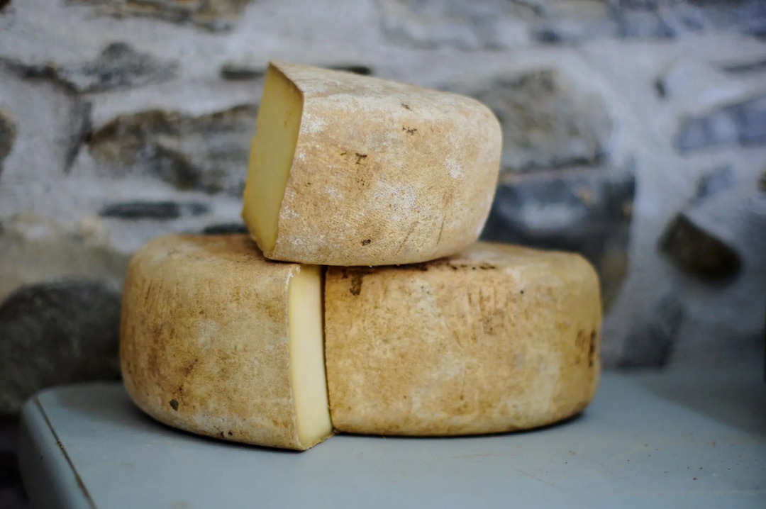 Cheese Rolling Facts შეიტყვეთ მეტი ტრადიციული ინგლისური ღონისძიების შესახებ