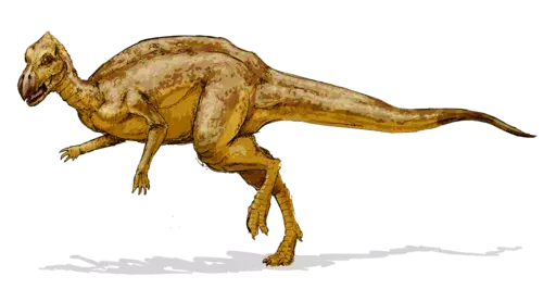 Fapte distractive despre Gannansaurus pentru copii
