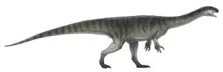 Geranosaurus adalah dinosaurus Jurassic Awal.