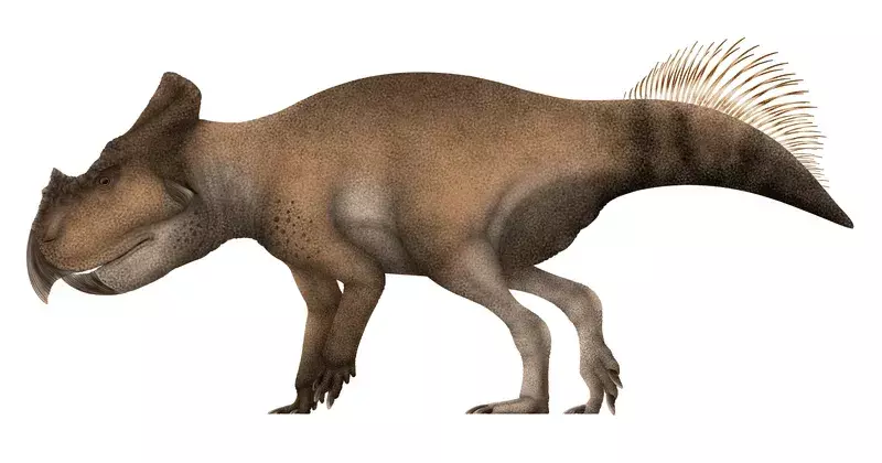 Wist u? 17 ongelooflijke feiten over Ajkaceratops