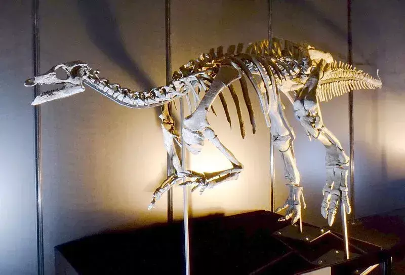 17 Fakta Dino-tungau Planicoxa Yang Akan Disukai Anak-Anak