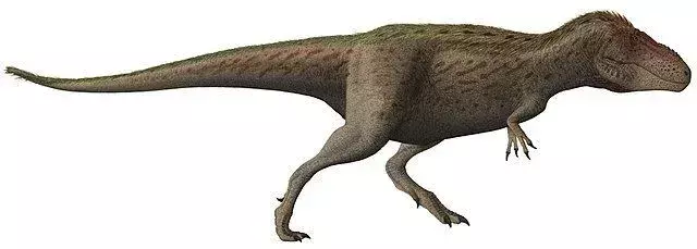टिमिमस तथ्य एक नई डायनासोर प्रजाति के बारे में जानने में मदद करते हैं।