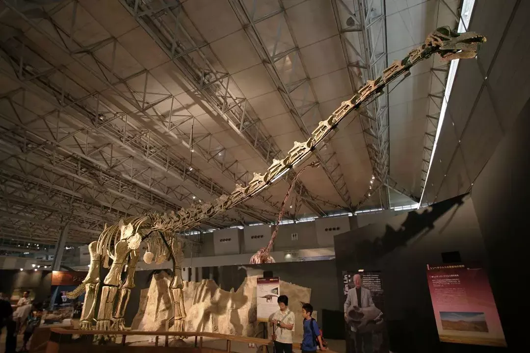 17 Roar-algunos hechos sobre el Venenosaurus que a los niños les encantará
