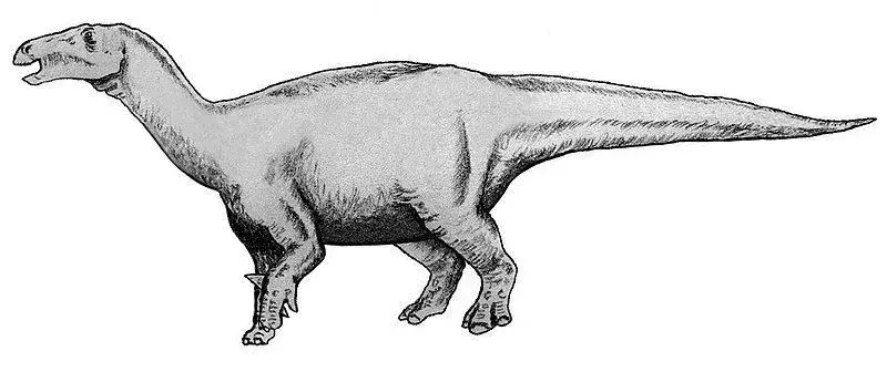 19 Dino-mijt Lurdusaurus-feiten waar kinderen dol op zullen zijn