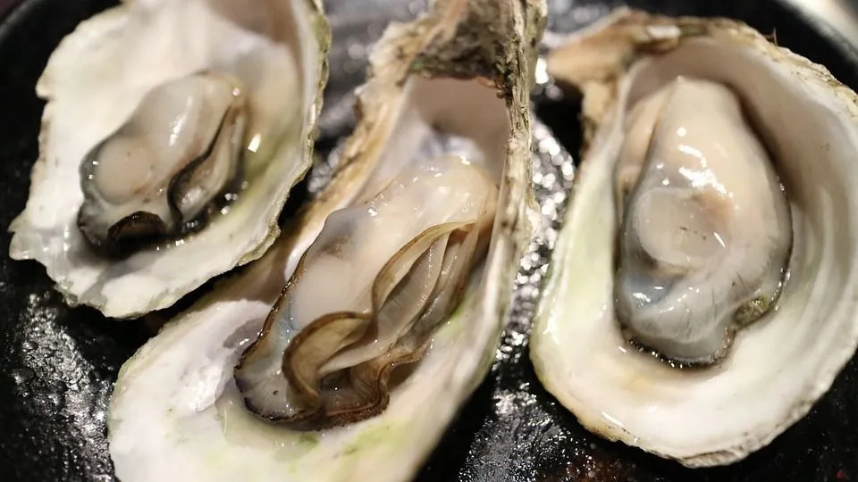 Nährwerte von Austern Erfahren Sie mehr über die seltsam aussehenden Meeresfrüchte