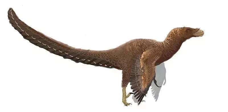 Dette er en veldig fargerik dinosaur og foten deres er veldig lik påfuglene vi ser i dag.