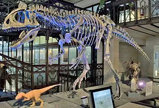 Morsomme Cryolophosaurus-fakta for barn