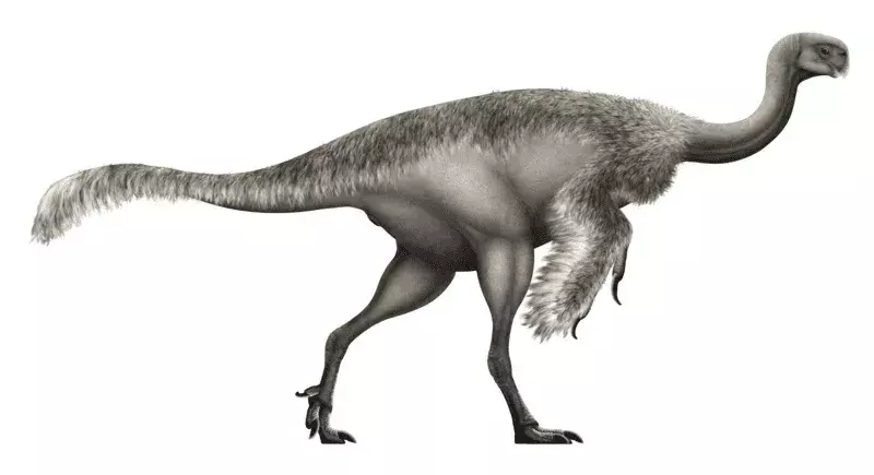 Elmisaurus adalah Oviraptorosauria Theropoda dari periode Kapur Akhir