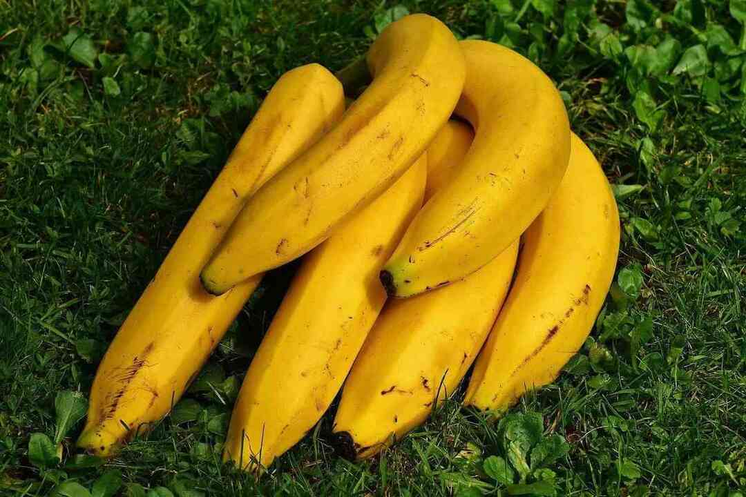 Bananplantefakta som definitivt vil få deg til å bli banan