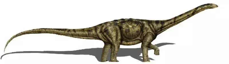 19 fakti par Dino-ērcīti Adamantisaurus, kas patiks bērniem