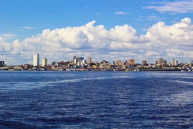 Manaus průmysly zahrnují výrobu mýdla, stavbu lodí, pivovarnictví.