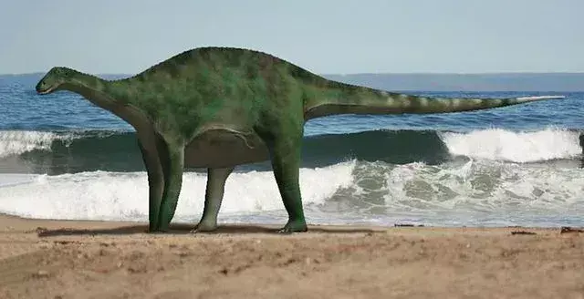 Brachytrachelopan har den korteste halsen i hele Sauropoda-kladen