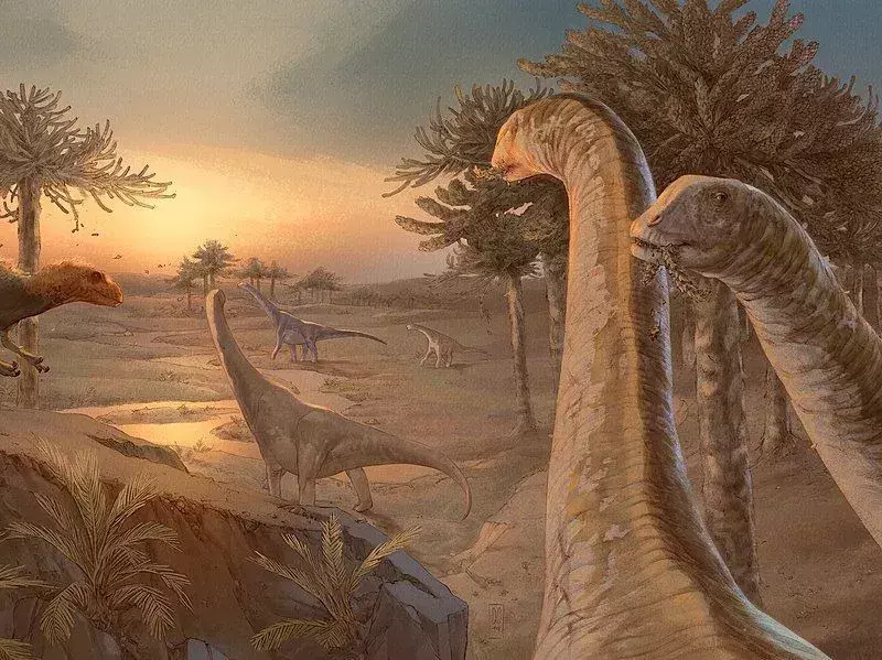 15 Fakta Spinophorosaurus yang Tidak Akan Kamu Percaya!