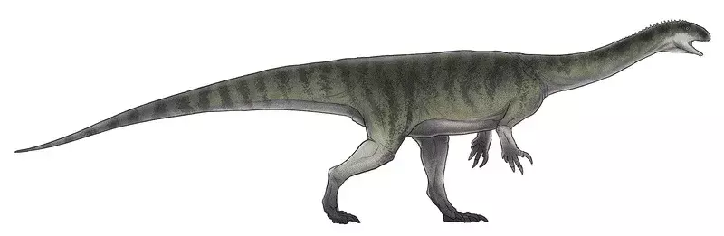 Çocukların Seveceği 17 Dinozor Chromogisaurus Gerçeği