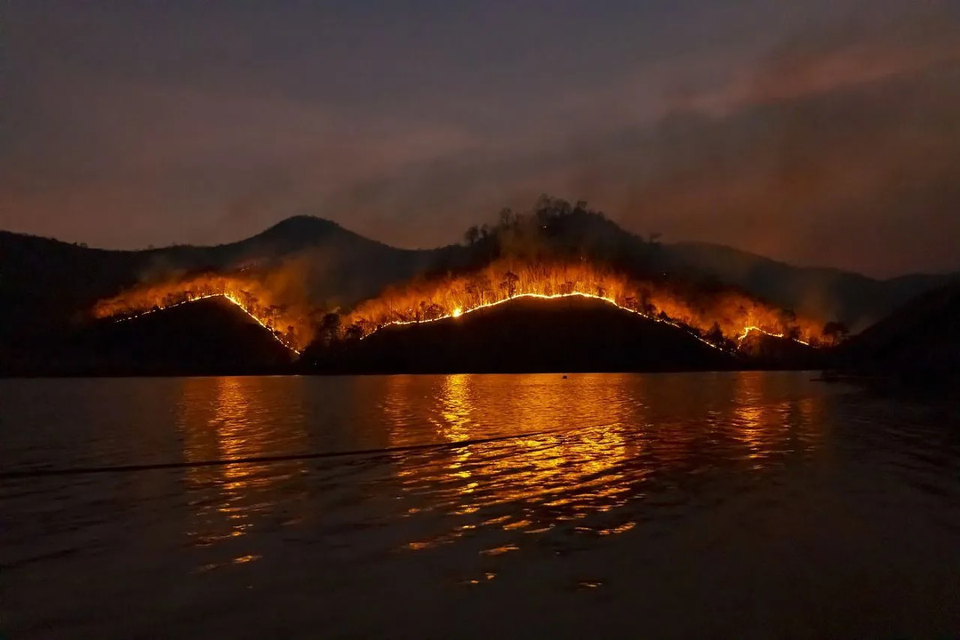 Bushfire-fakta Lær alt om naturkatastrofer i Australia