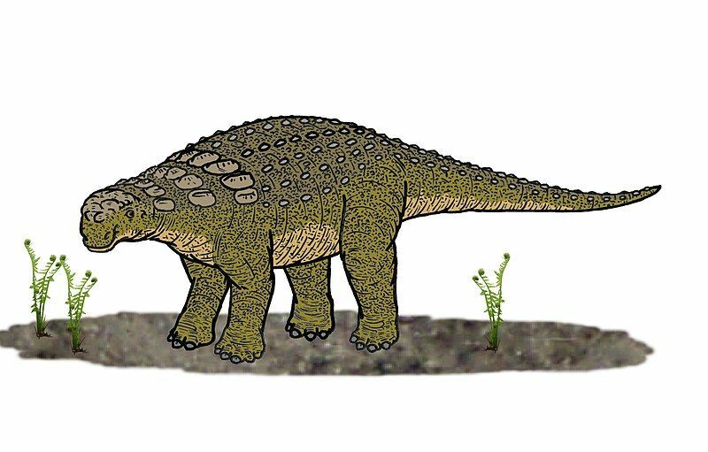 حقائق Panoplosaurus مثيرة للاهتمام.