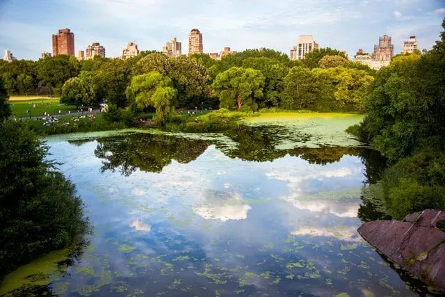 Забавни факти за Central Park, които трябва да знаете