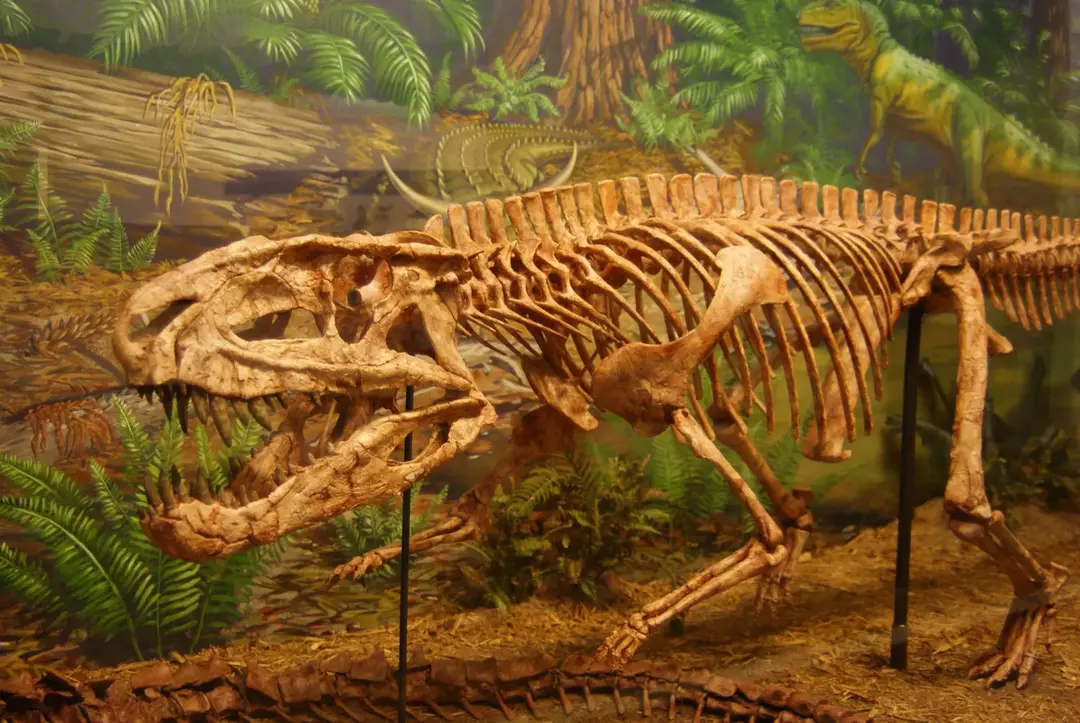 Postosuchus: 15 faits que vous ne croirez pas !