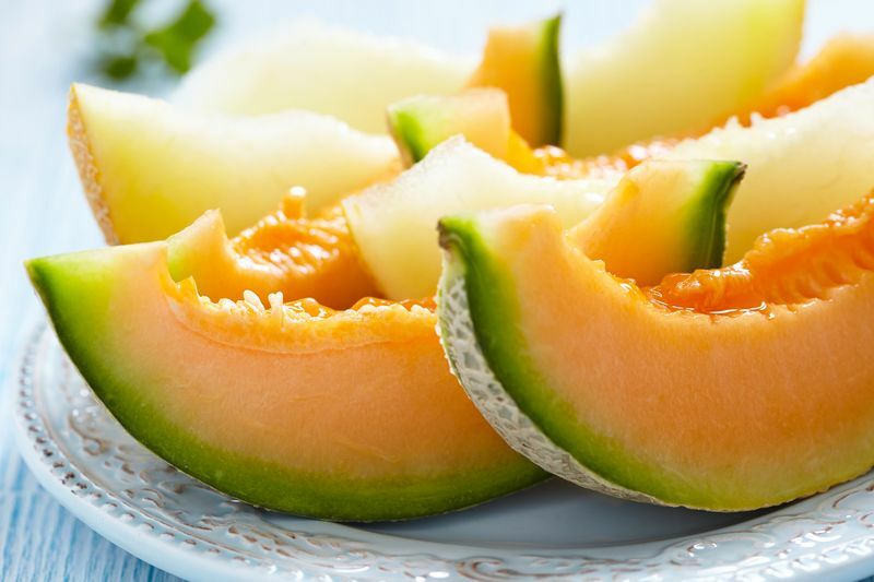 Kan katter spise cantaloupe Er denne melonfrukten trygg for kjæledyret ditt