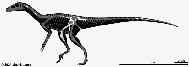 21 Dino erkės Chindesaurus faktas, kuris patiks vaikams