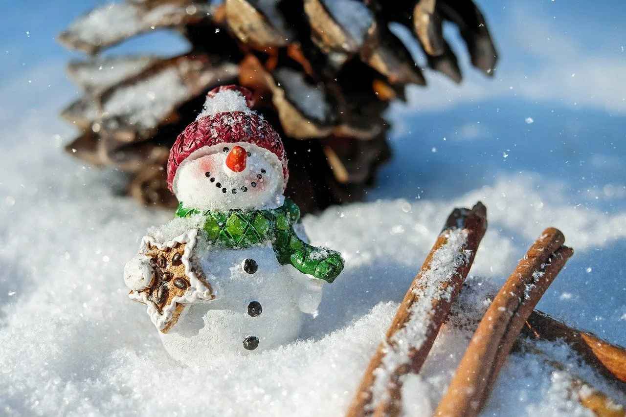 Забавные факты о снеговиках, которые возбудит вас зимой
