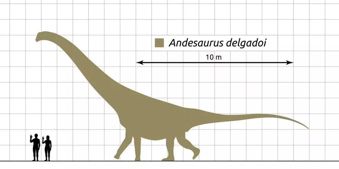 15 حقائق Andesaurus لن تنساها أبدا