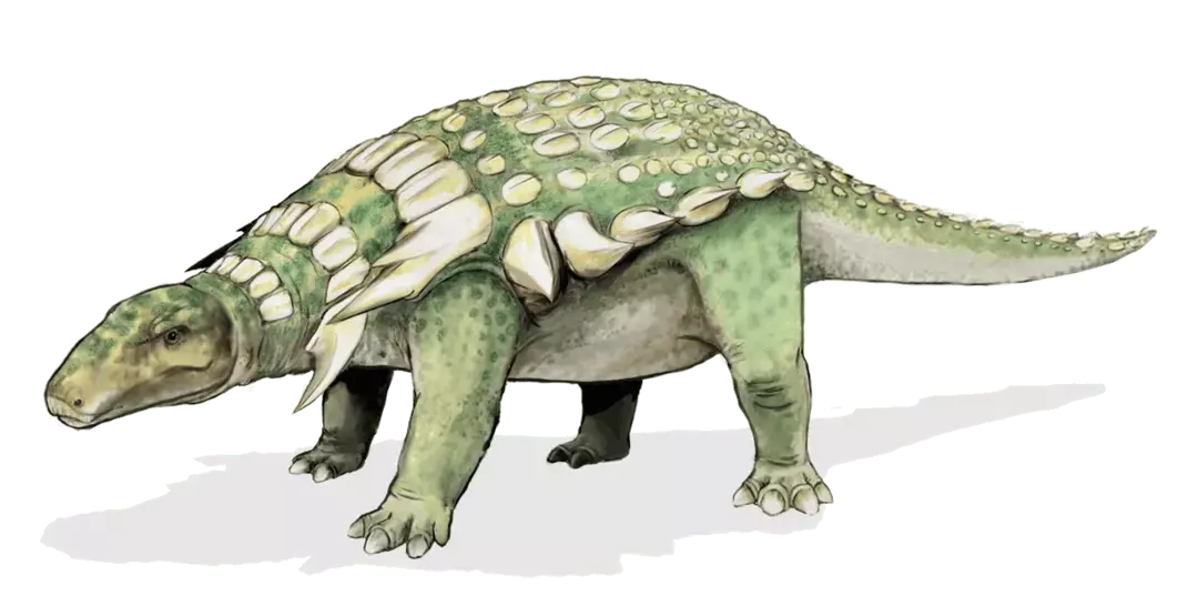 15 Nedoceratops-faktaa, joita et koskaan unohda