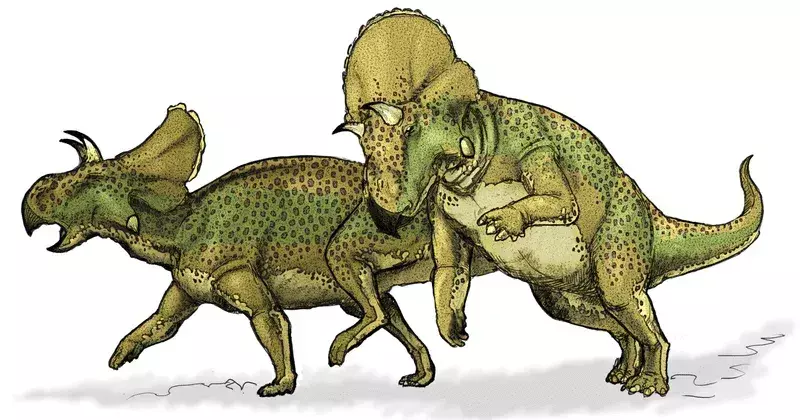 Çocukların Seveceği 19 Dinozor Montanoceratops Bilgisi