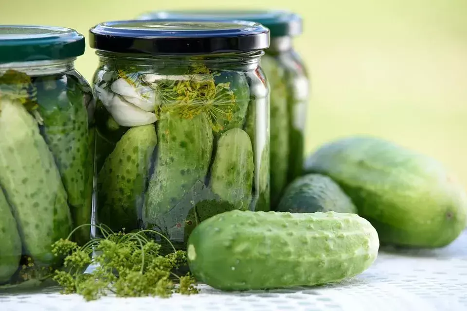 Pickles er mat med høyt saltinnhold som bare må inntas med måte.