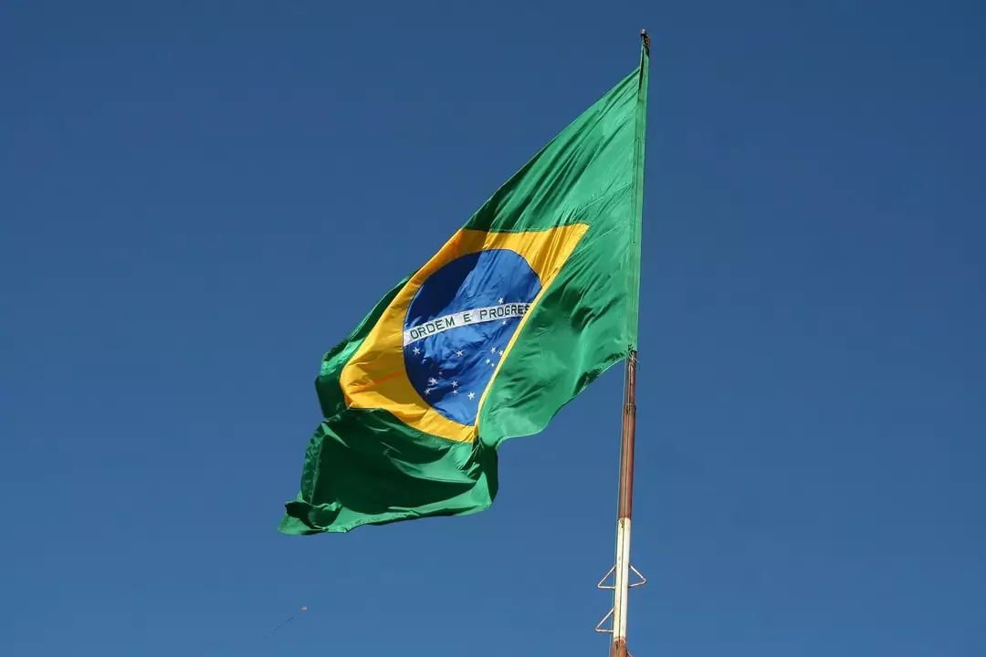 21 Nysgjerrige Brasil utdanningsfakta: Her er alt du trenger å vite!