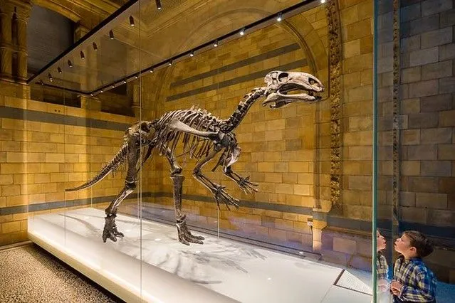 ფანტასტიკური დინოზავრები და სად ვიპოვოთ ისინი ლონდონში