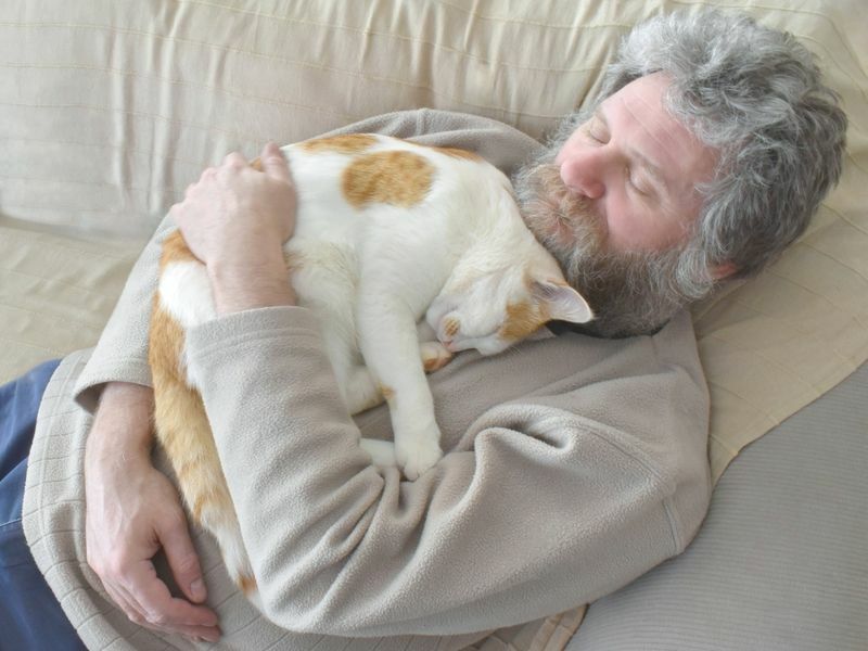 Kodėl katės guli ant jūsų krūtinės Įdomūs faktai apie kačių miegą, ką reikia žinoti