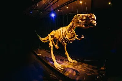 Denne T-Rex-modellen var en av mange kreasjoner på den turnerende Art of the Brick-utstillingen.