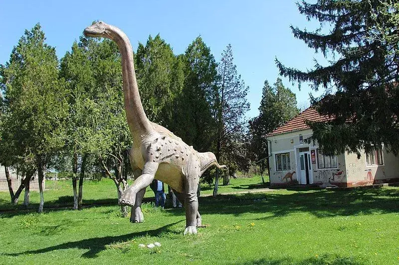Magyarosaurus avea plăci osoase.